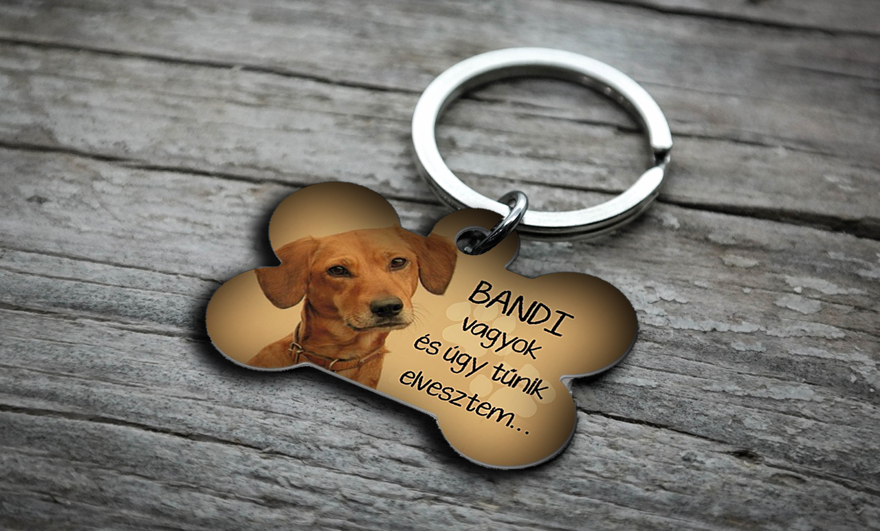 Saját fényképes kutyabiléta