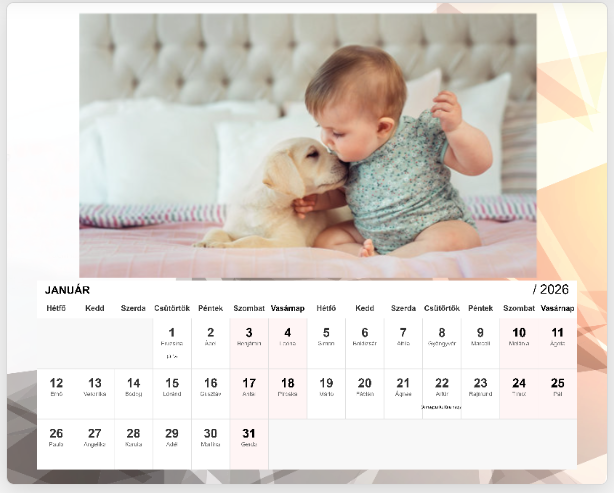 Fényképes naptár Asztali 20x16 - Puppy