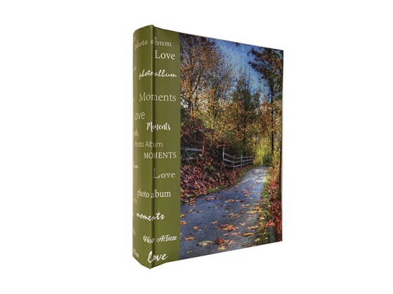 Poldom MM 304/10*15 Assort-Las